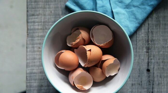 Eggshells