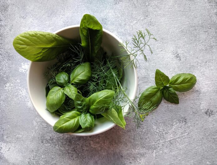 fresh herbs